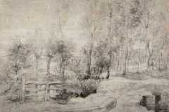 landscape-with-a-trees