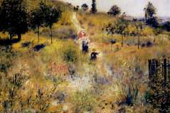 path-leading-through-tall-grass-1877