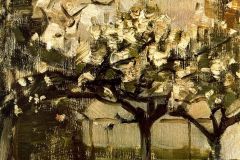 alberi-1908