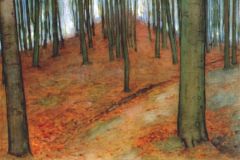 wood-with-beech-trees
