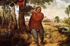 peasant-and-birdnester-1568