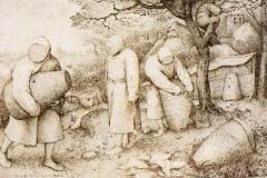 the-beekeepers-and-the-birdnester-1568