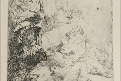 a-small-lion-hunt-with-a-lioness-1641