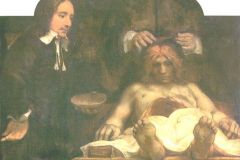 anatomy-of-doctor-deyman-1656
