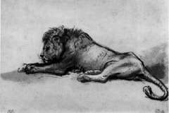 lion-resting-1652-1