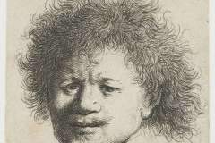 self-portrait-with-long-bushy-hair-1631