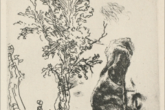 sketch-of-a-tree-1638