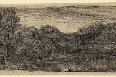 small-gray-landscape-a-house-and-trees-beside-a-pool-1640