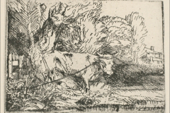 the-bull-1650