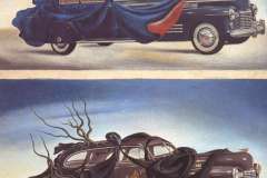 car-clothing-clothed-automobile