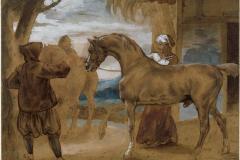 arabian-stallion-led-by-two-arabians-to-breed