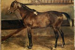 brown-horse-in-the-stalls