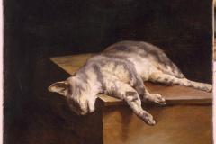 dead-cat