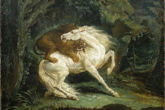 horse-attacked-by-a-lion