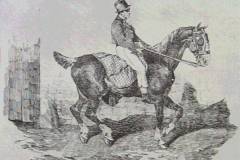 horse-carriage
