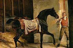 horse-leaving-a-stable