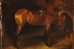spanish-horse-in-a-stable