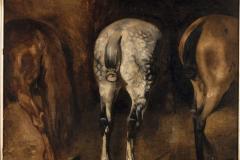 three-rumps-of-horses