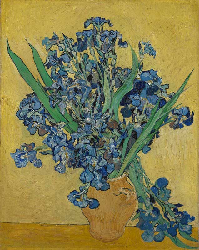 Van Gogh, Süsenler