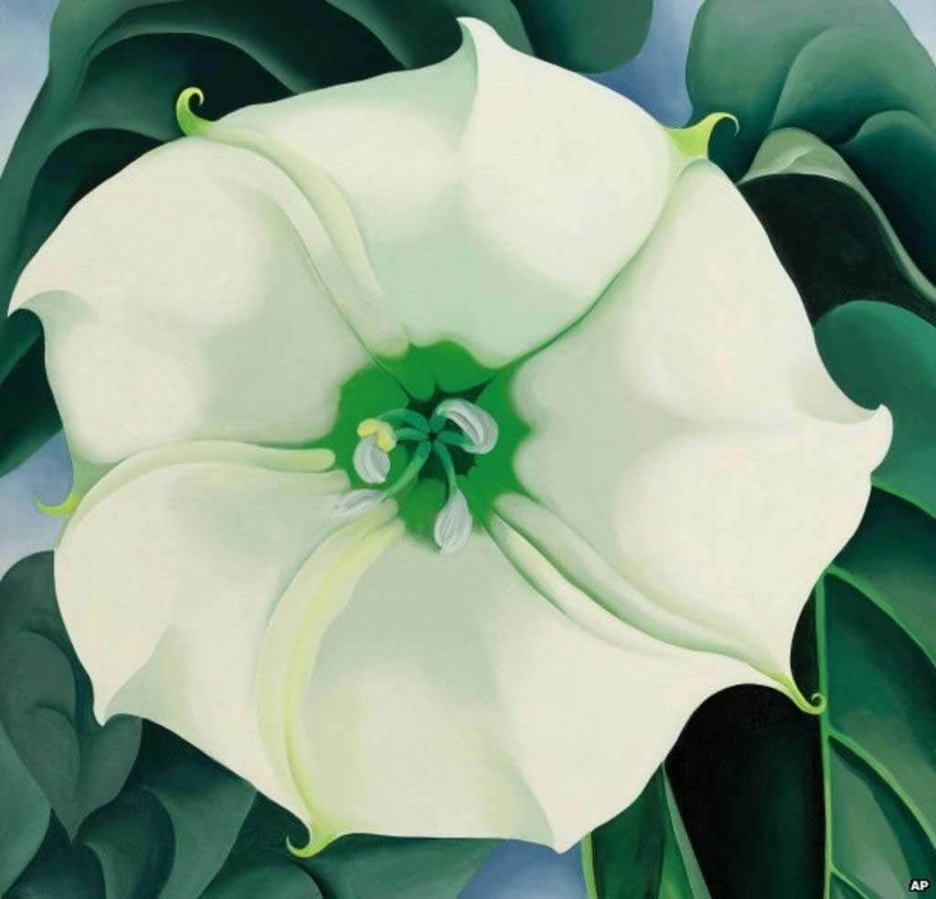 Georgia O'Keeffe filminden bir kare
