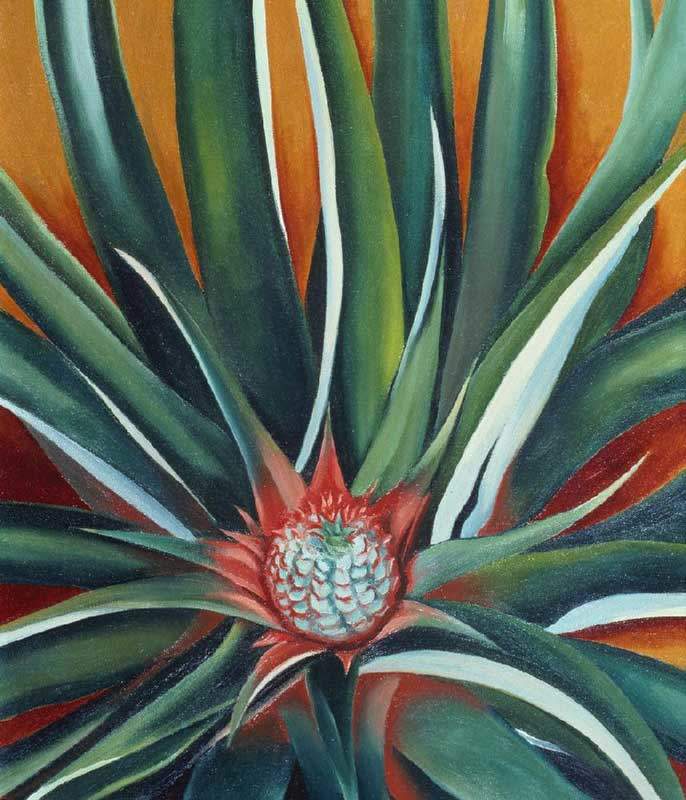 Georgia O'Keeffe filminden bir kare