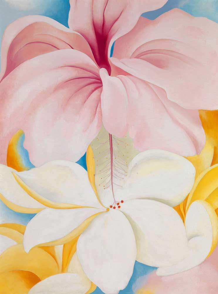 Georgia O'Keeffe filminden bir kare