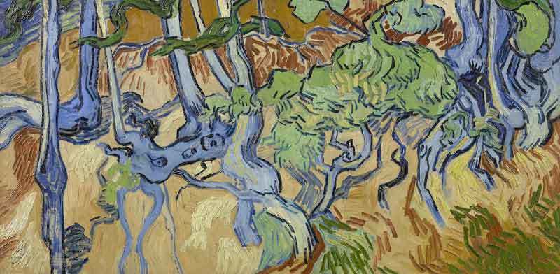 Van Gogh, Ağaç Kökleri