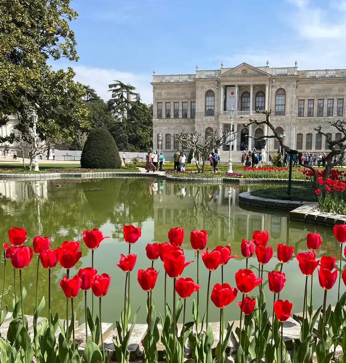 Dolmabahçe Sarayı bahçesinde laleler