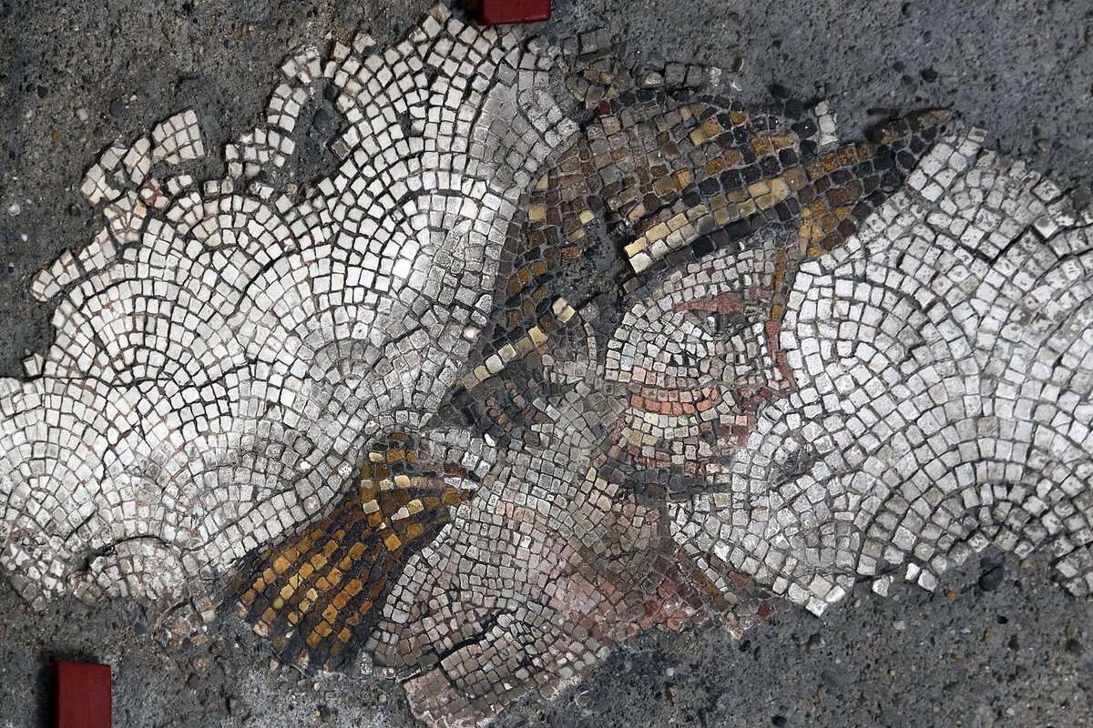 Güneybatı salonunda yerinde sergilenen köylü başı mozaiği