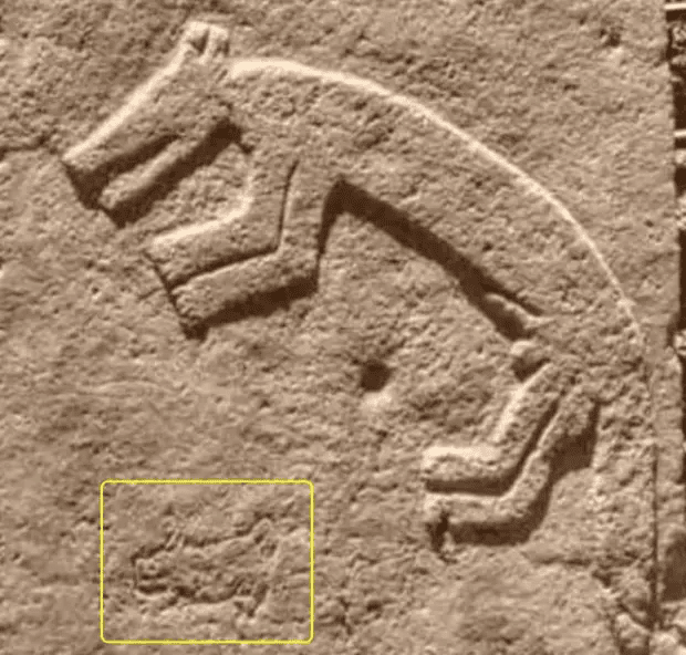 Göbeklitepe dikilitaşı üzerinde ağzı açık tilki kabartması