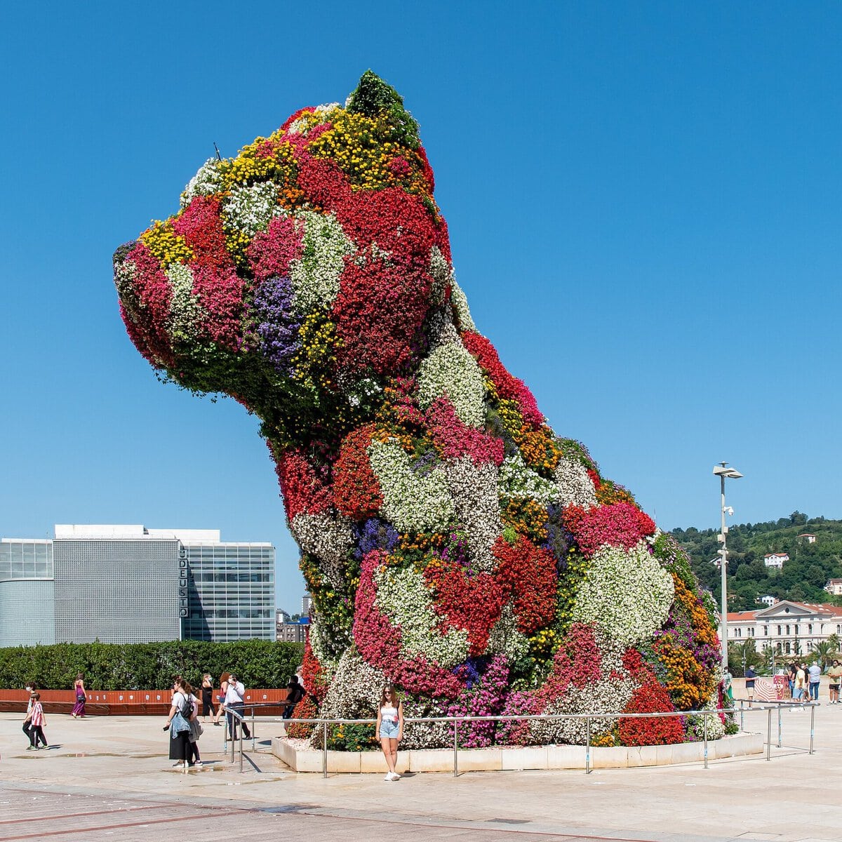Jeff Koons'un çiçeklerden yapılmış Puppy heykeli, Guggenheim Bilbao önünde