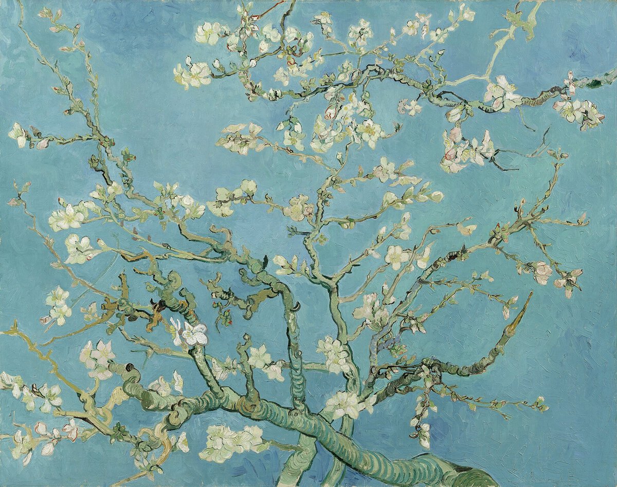 Van Gogh, Badem Çiçekleri