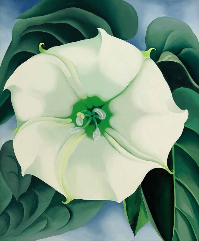 Jimson Otu / Beyaz Çiçek No. 1, Georgia O'Keeffe