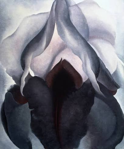 Siyah Süsen, Georgia O'Keeffe