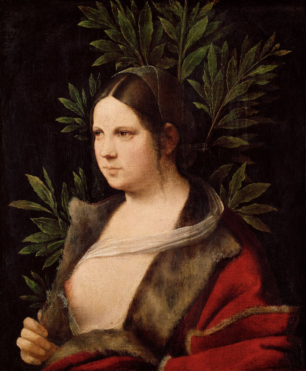 Giorgione'nin Laura portresi: defne yapraklarının önünde genç kadın, 1506