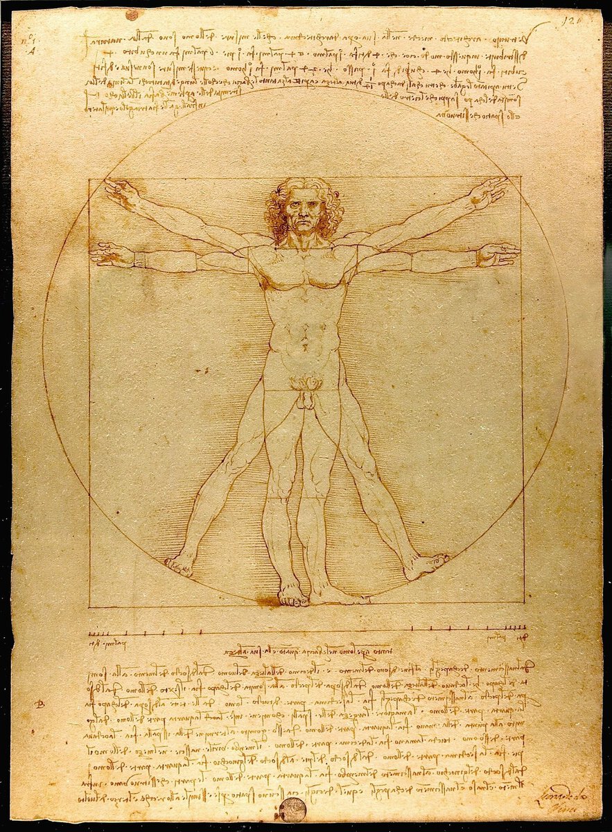 Leonardo da Vinci'nin Vitruvius Adamı çizimi: daire ve kare içinde kolları ve bacakları açık çıplak adam